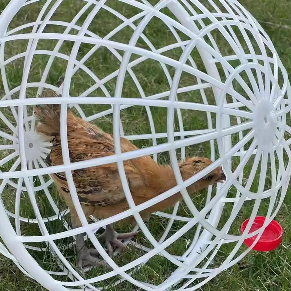 Ball Cage For Chickens Movable 3 Pieces Chicken Orb Ball Cage Pet Safety Chicken Cage Ball-Shaped Chicken Hamster Ball Cage