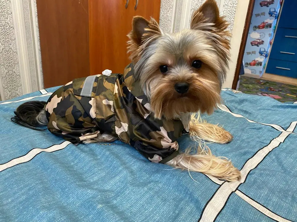 Dogs Raincoat Adjustable Puppy Dog Raincoat Waterproof 4 Legs Raincoat for Small Dogs Outdoor Pet Poncho with Reflective Strap