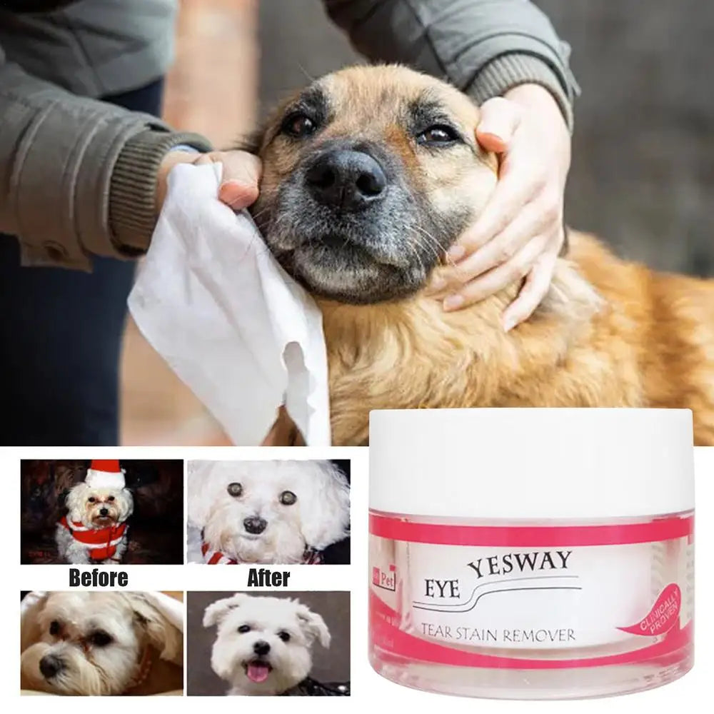 20g Pet Tear Stain Powder Dog Cat Eye Tear Stain Remover Powder Bichon Pomeranian Eye Stain Cleaner Pet Grooming Accessories