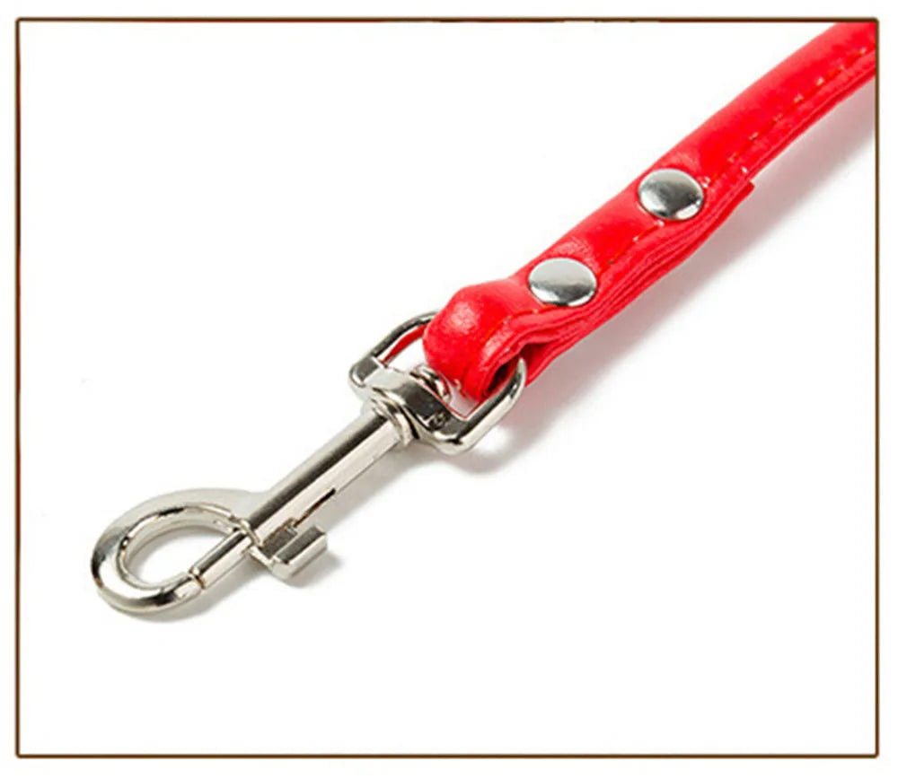 Pet Products Round Colorful PU Rolled Dog Walking Leashes for Small Medium Breeds Dogs Puppy Chain Lead Training Walking Leash