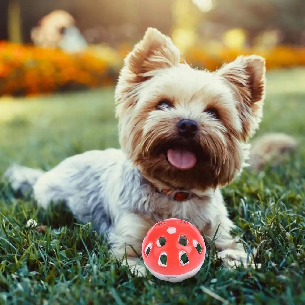 Pet Toys Colorful Kitten Toy Ball Plastic Hollow Bell Ball Interactive Ball Fun Training Chasing Cats And Dogs Pet Ball Pet Toy