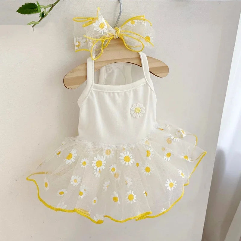 Cute Pet Dog Dress for Small Dogs Thin Puppy Princess Skirt Summer Dog Clothes Chihuahua York Clothing Pet Supplies