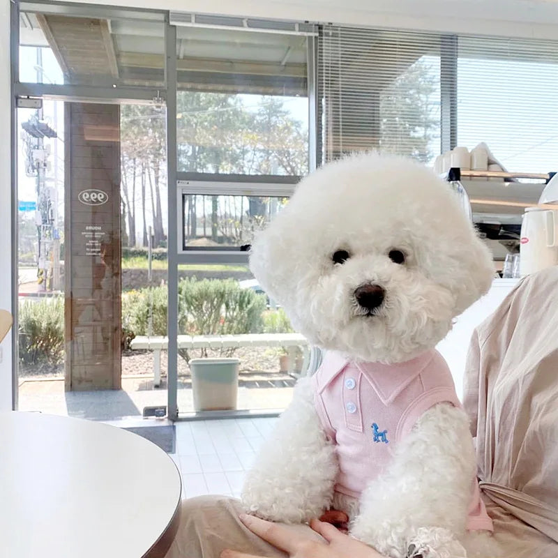 Summer Puppy Clothes Solid Dog Polo Shirt Teddy Bichon Frise Chihuahua Dog Pullover Cat Dog Sweatshirt Pet Cooling Vest Clothing
