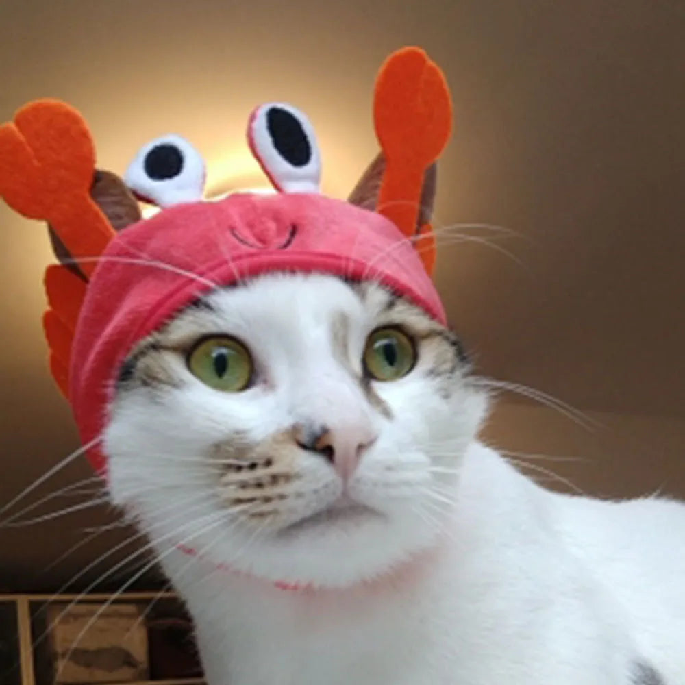 Cute Pet Hat Small Dog Cat Hat Easter Bunny Hat Crab Lobster Frog Cap Pet Party Costume Accessories Headwear for Cat Kitten Pug