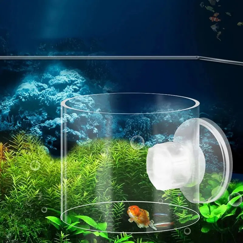 1Pcs Fish Feeding Aquarium Feeding Ring Fish Tank Station Floating Food Tray Feeder Aquarium Accessory with Strong Suction Cups