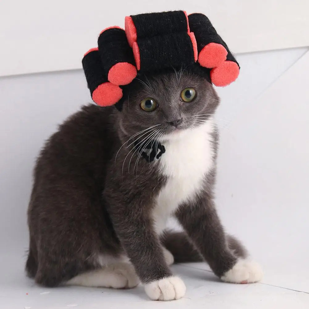 Cute Creative Pet Headdress Halloween Atmosphere Sense Wig Funny Pet Hat Pet Fashion Fun Curly Hair Photo Styling Headband Pet T