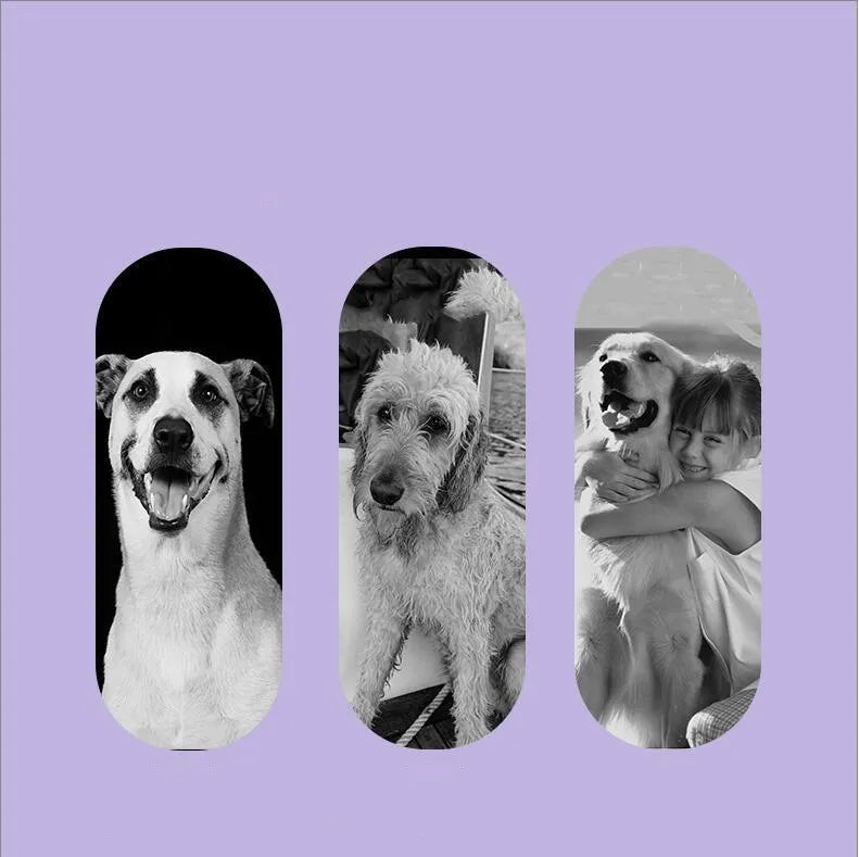 100ML Pet Flea & Tick Spray for Dogs Cats Fresh Fragrance Natural Pet Care Topical Spray