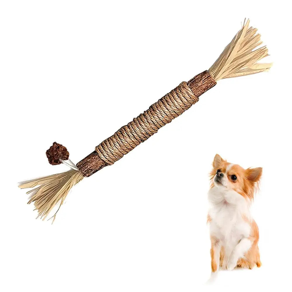 Natural Matatabi Cat Snacks Sticks Catnip Pet Cat Toys Actinidia Polygama Molar Toothpaste Stick Cleaning Teeth