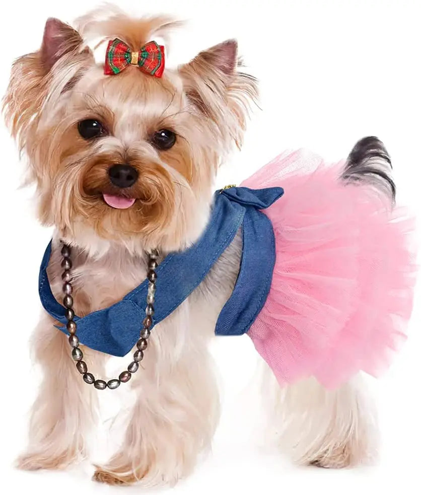 Princess Dog Dress for Small Dogs, Chihuahua Yorkie Layer Stripe Mesh Tutu Skirt Puppy Summer Clothes Pet Bowknot Dresses