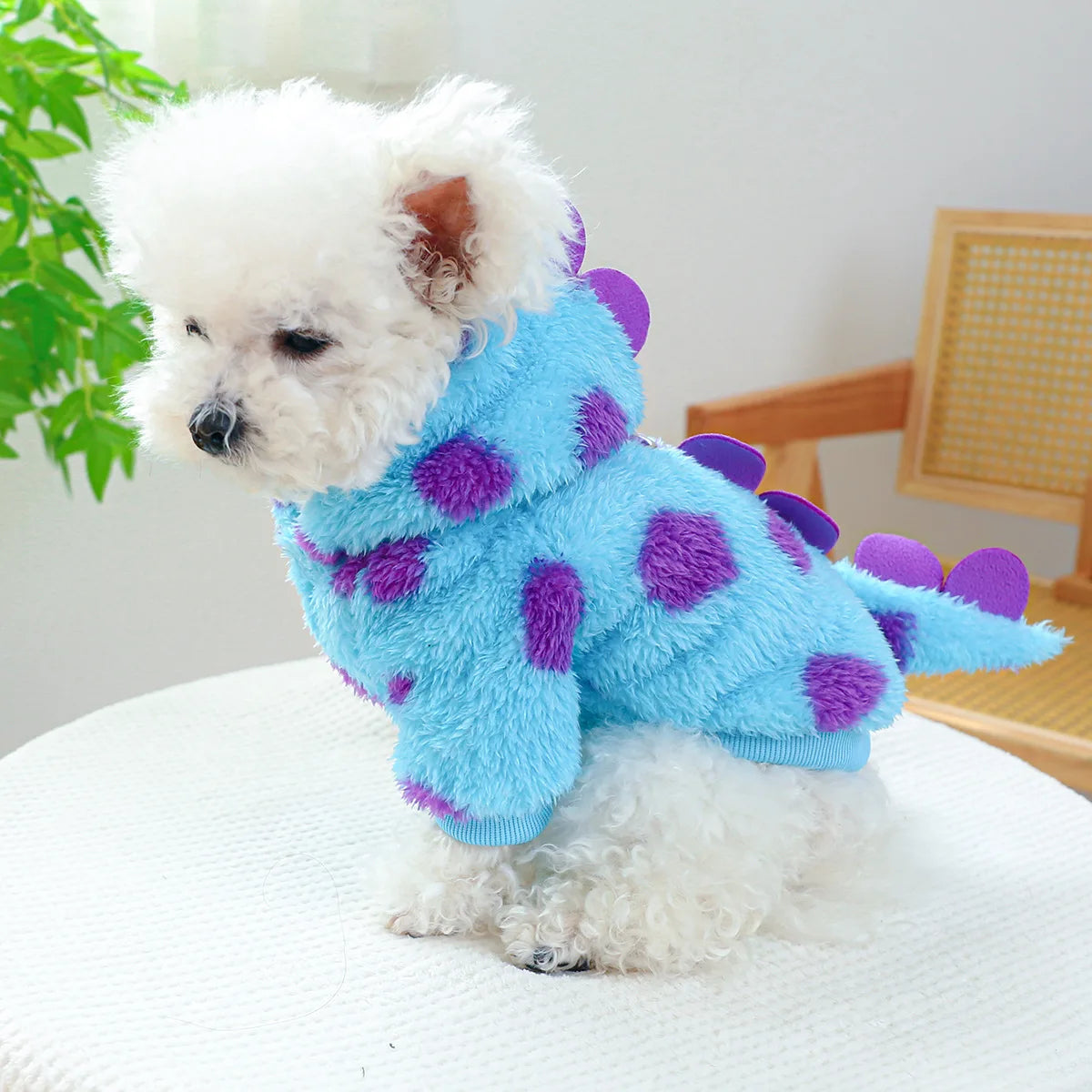 Pet circle, dogs, cats, clothes with plush insulation, comfortable short style, flower dinosaur