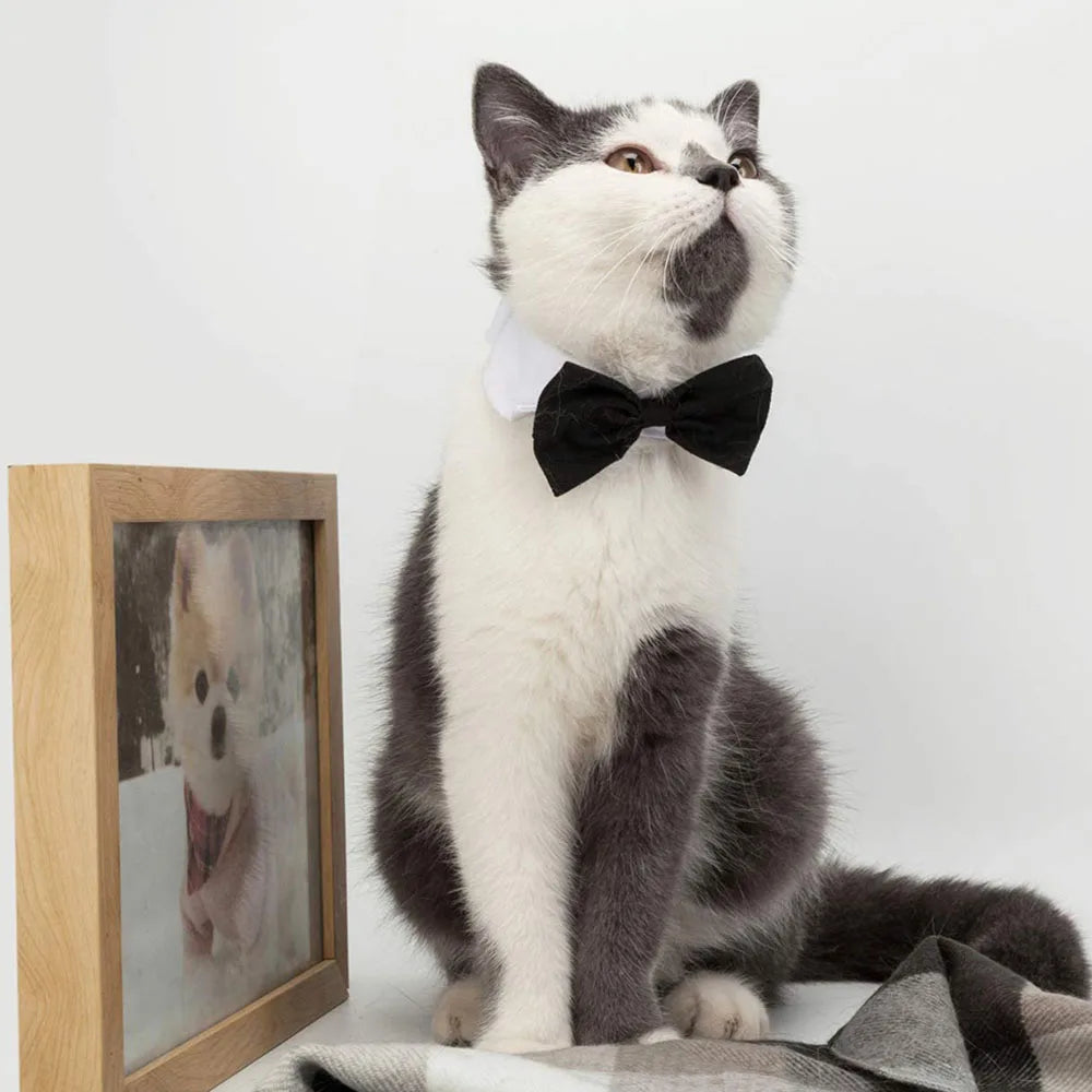 Pet Dog Cat Adjustable Bow Tie Collar Puppy Necktie Bowknot Bowtie Pet Cat Holiday Wedding Decoration Accessories for Small Dogs