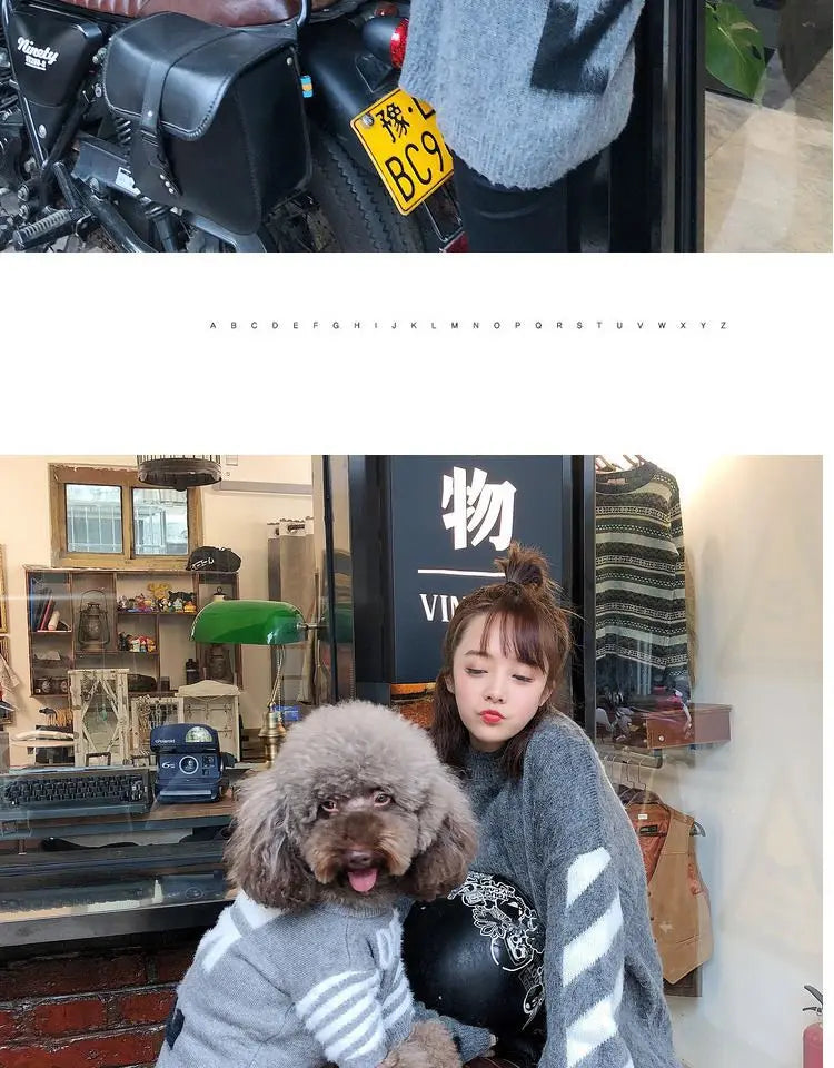 The New Pet Clothes Cat Sweater Dog Sweater Korean Version Spring and Autumn Parent-child Wear Six Sizes
