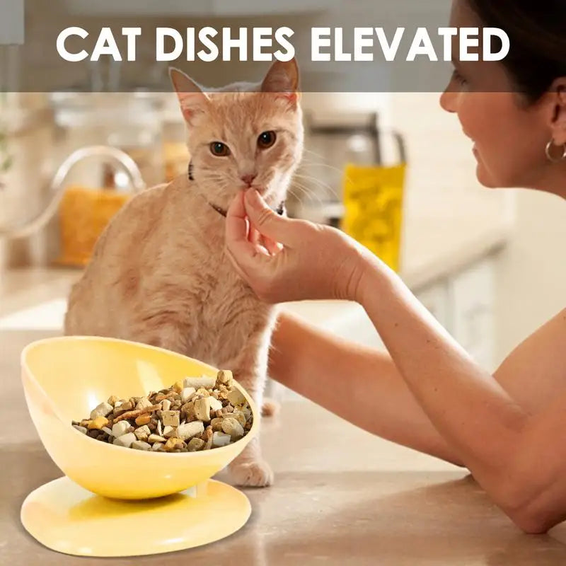 Raised Cat Food Bowl Spill Proof Cat Bowls Portable Dog Food Feeding Pet Feeder with Anti Slip Base for Indoor Cats Puppy Dogs