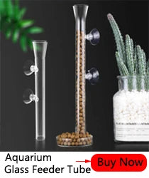 10Pcs Transparent Aquarium Suction Cup Filter Air Pump Water Pump Holder Sucker for Fish Tank Pump Suction Cups Aquatic Supplies