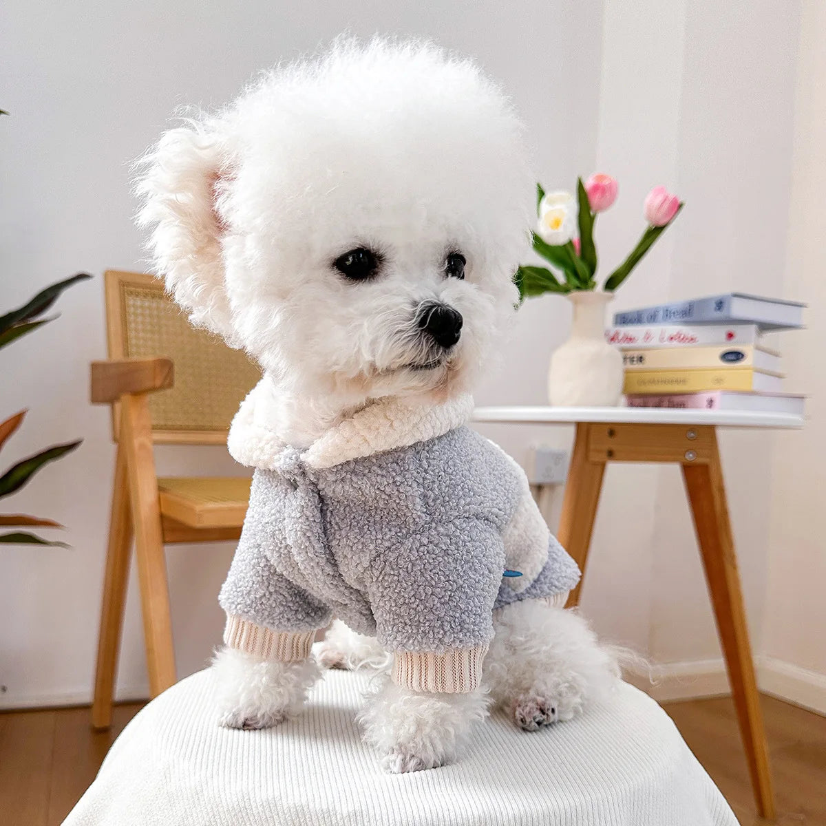 Fashion Patchwork Dog Hoodies "New York" Thick Warm Fleece Dog Hooded Coat Winter Dog Clothes for Small Medium Dogs Pet Apparel