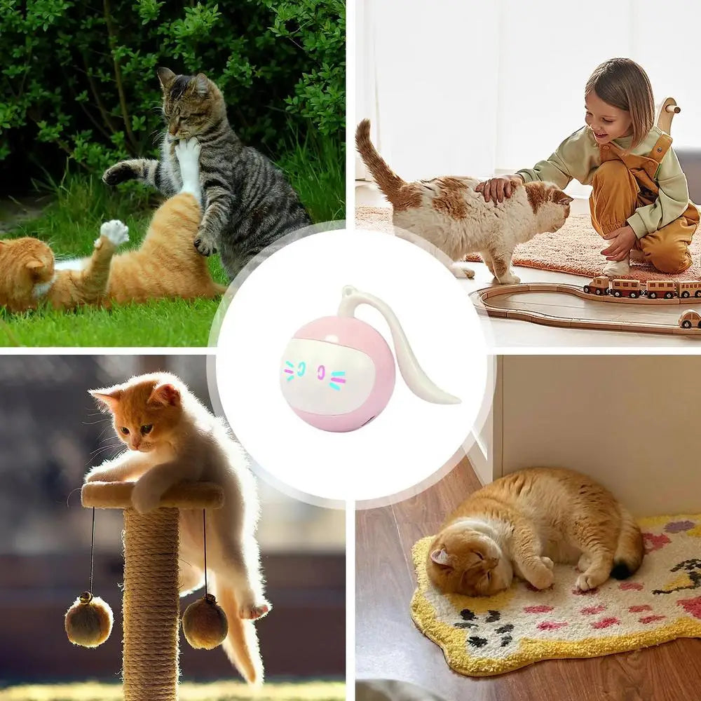 2 in 1 Self Rotating Ball Cat Toy Smart Interactive Cat Toy USB Rechargeable Wicked Ball 360 Degree Automatic Cat Moving Rolling