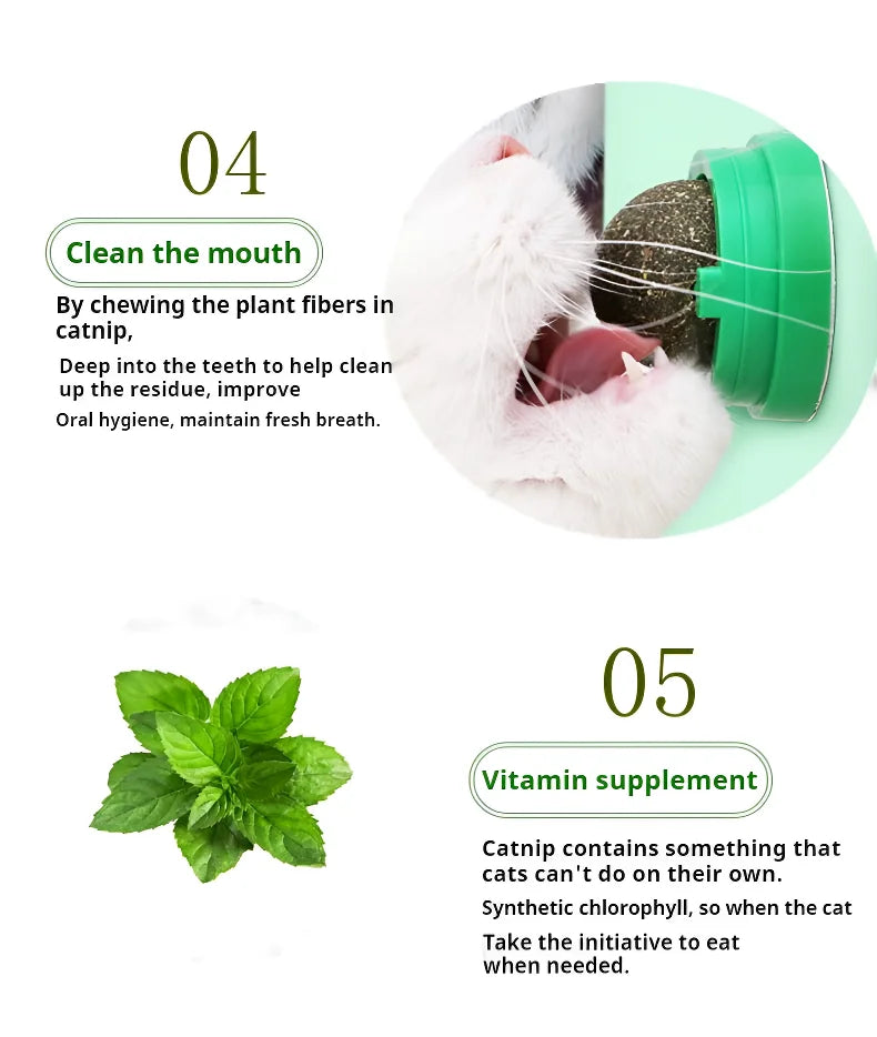 Natural Catnip Cats Wall Stick-on Ball Toy Scratchers Treats Healthy Natural Removes Balls to Promote Digestion Cat Grass Snack
