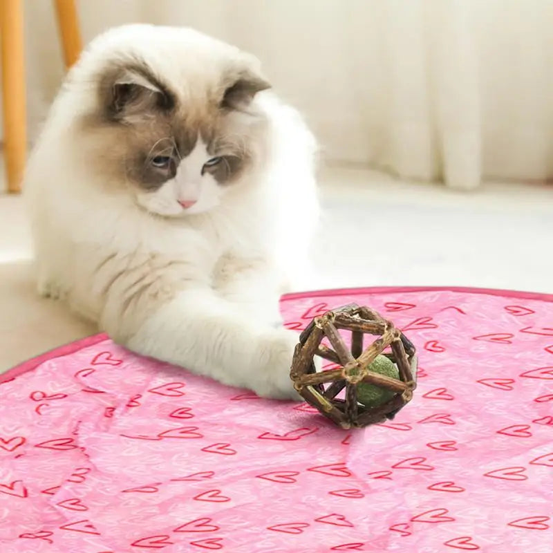 2 in 1 Self Rotating Ball Cat Toy Smart Interactive Cat Toy USB Rechargeable Wicked Ball 360 Degree Automatic Cat Moving Rolling