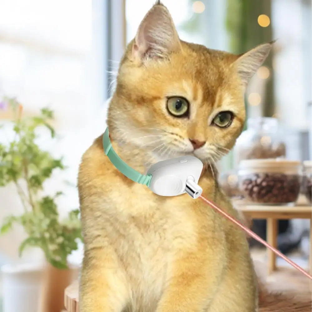 Laser Cat Collar LED Laser Cat Teasing Toy Cat Collar Toy Electric Smart Laser Teasing Cat Interactive Toy Kitten Playing Toy