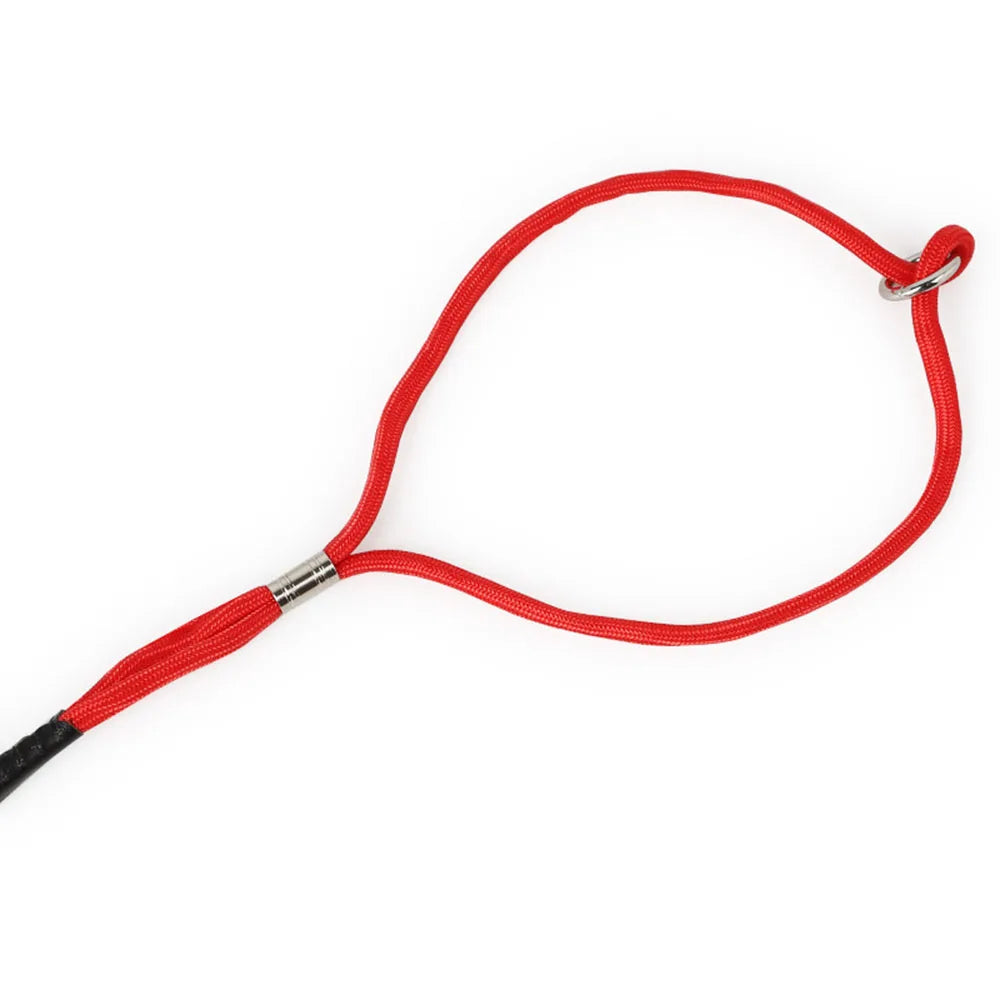 Superior Thin Nylon Slip Lead Dog Leash 5mm*120cm No Pull Pet Slip Leash for Puppy Training Adjustable Slip Collar for Small Dog