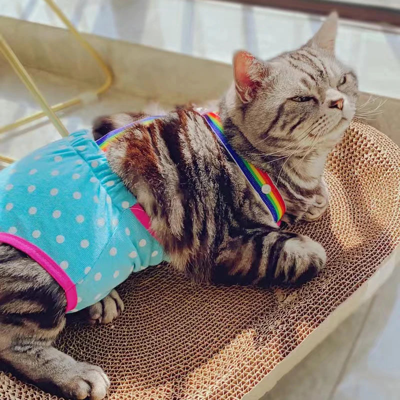 Sweet Sphynx Cat Physiological Pants with Straps Denim Female Pet Safety Sanitary Panties for Cats Gota Animals mascotas Costume