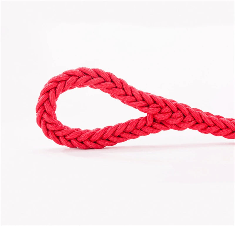 Durable Nylon Dog Collar Leash Set Traction Rope Medium Big Dog Walking Accessories Labrador Husky P-Chain Travel Pet Products