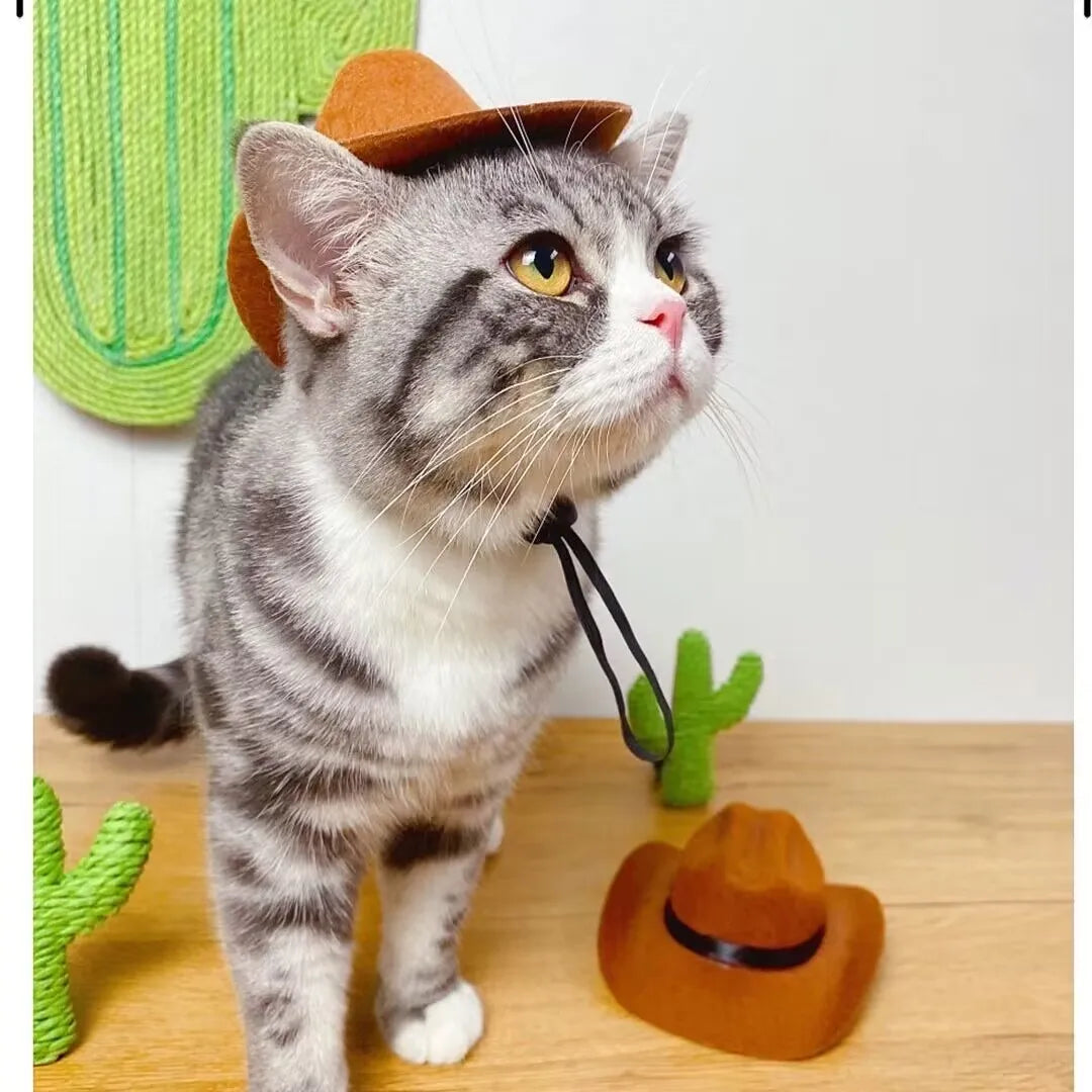 Pet Hat Dog Cat Western Cowboy Hat Halloween Pet Outdoor Caps Funny Retro Photo Prop Dog Accessories Doll Decor Pet Products