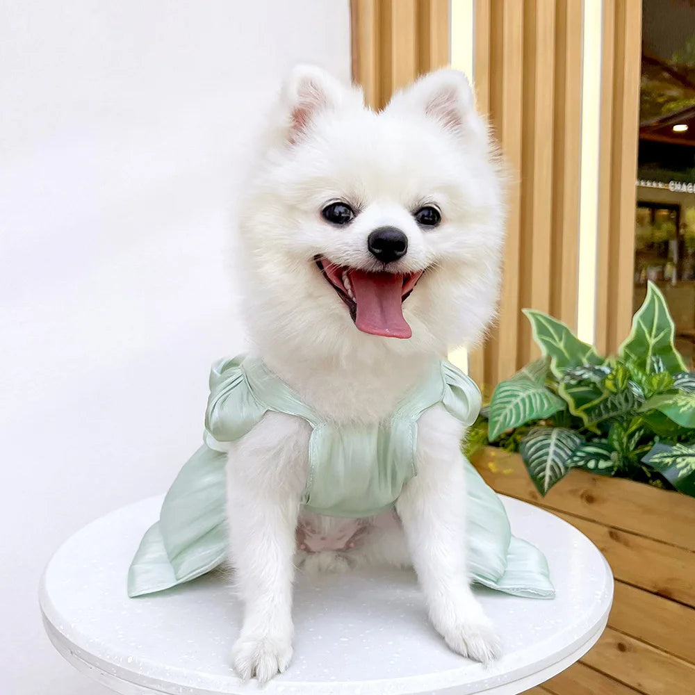 Summer Pet Dog Skirt Puppy Striped Butterfly Skirt Princess Baby Dog Wedding Midi Dress Cat Skirt Shih Tzu Dog Clothes for Party