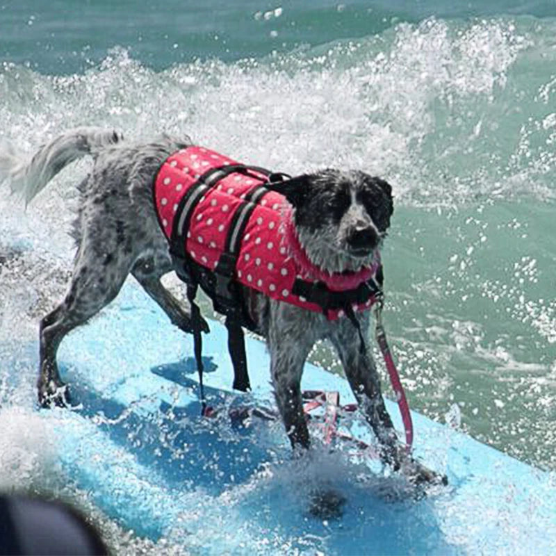Large Medium Pet Dog Life Jacket Oxford Floating Husky Summer Pet Supplies Quick Drying Seaside Safety Exercise Dog Swimsuits