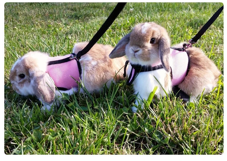 Mutil-Colors Breathable Stylish Vest Small Pet Carrier Bag Adjustable Soft Harness And Elastic Leash Set For Rabbits
