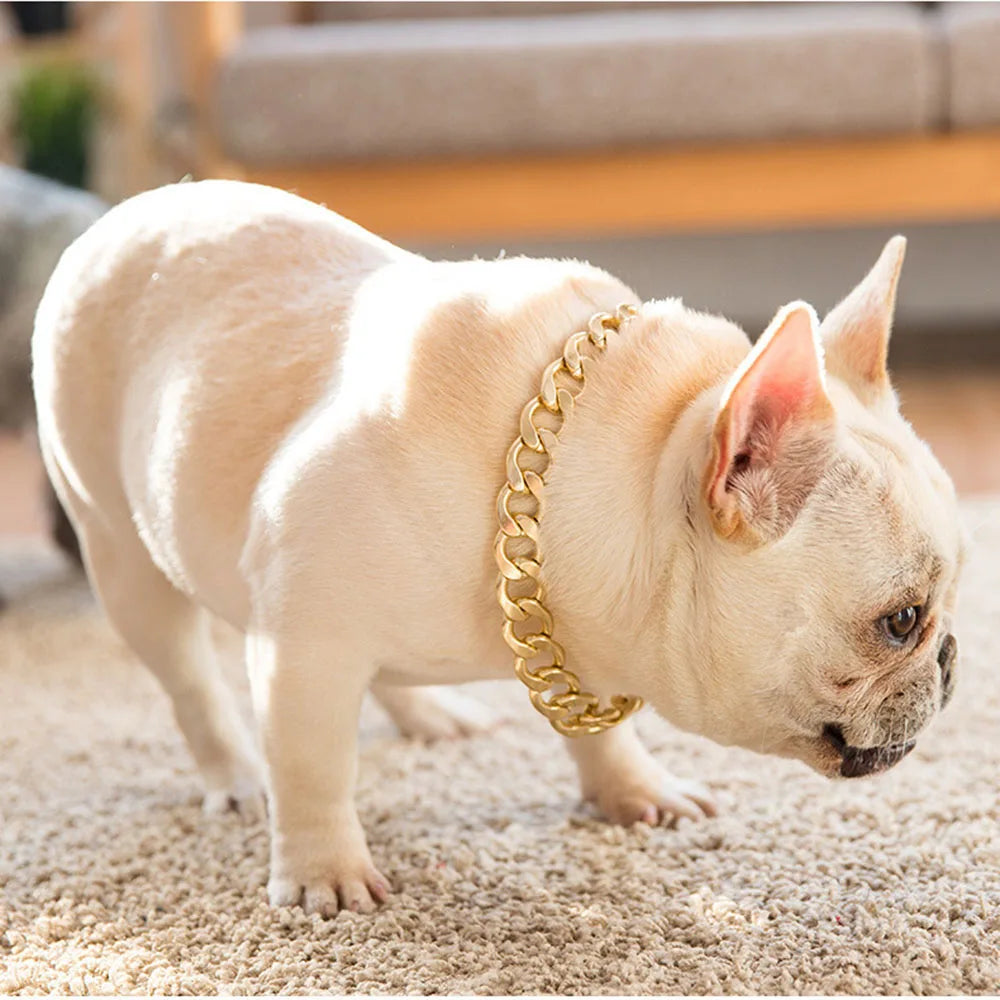 Gold Pet Cat Dog Collar Adjustable Light Plastic Small Dog Cuban Link Collar for Bulldog Puppy Necklace Pet Apparel Accessories