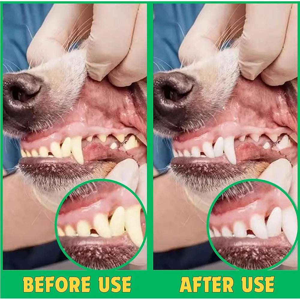 360-degree Dog Finger Toothbrush Extra Soft Pet Toothbrushes Silicone Teeth Cleaning Tools for Cats Puppies Dental Care Supplies