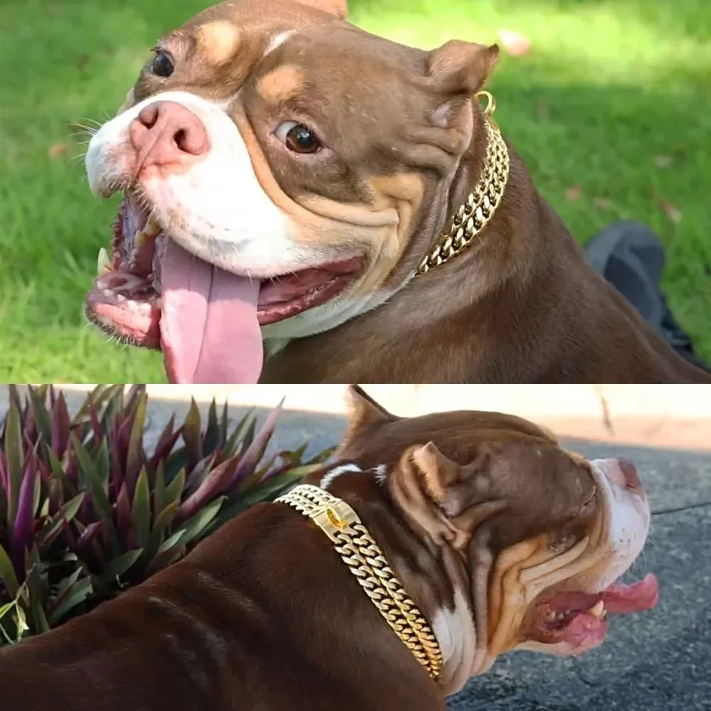 Strong Dog Double Chain Collar 2 Row Gold Cuban Link Stainless Steel Dog Training Collar Pet Metal Collar For Medium Large Dogs