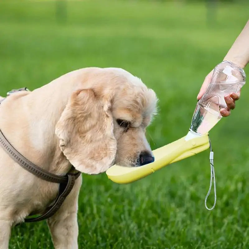 450ml Dog Water Bottle Dispenser Water Bottle Containers for Dogs Puppy Water Leak Proof Drinking Dispenser for Hiking Outdoor