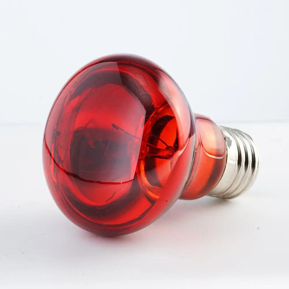E27 Reptile Bulb Heating Night Light Daylight UVA 55g Ceramic Heating Lamp Simulates UVA In Natural Sunlight Meet Lighting Needs