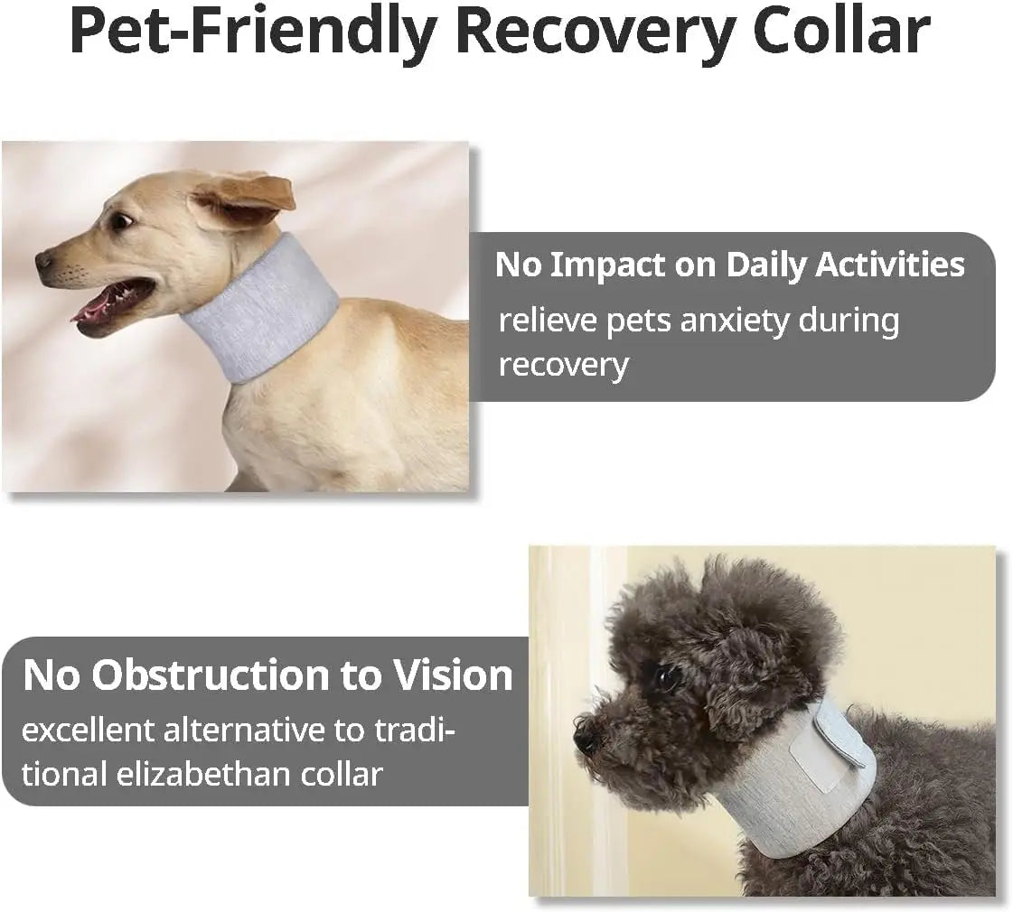 Dog Neck Brace Elizabethan Collar for Pet After Surgery Recovery Wound Protect, Adjustable Cervical Cone for Small Medium Dogs