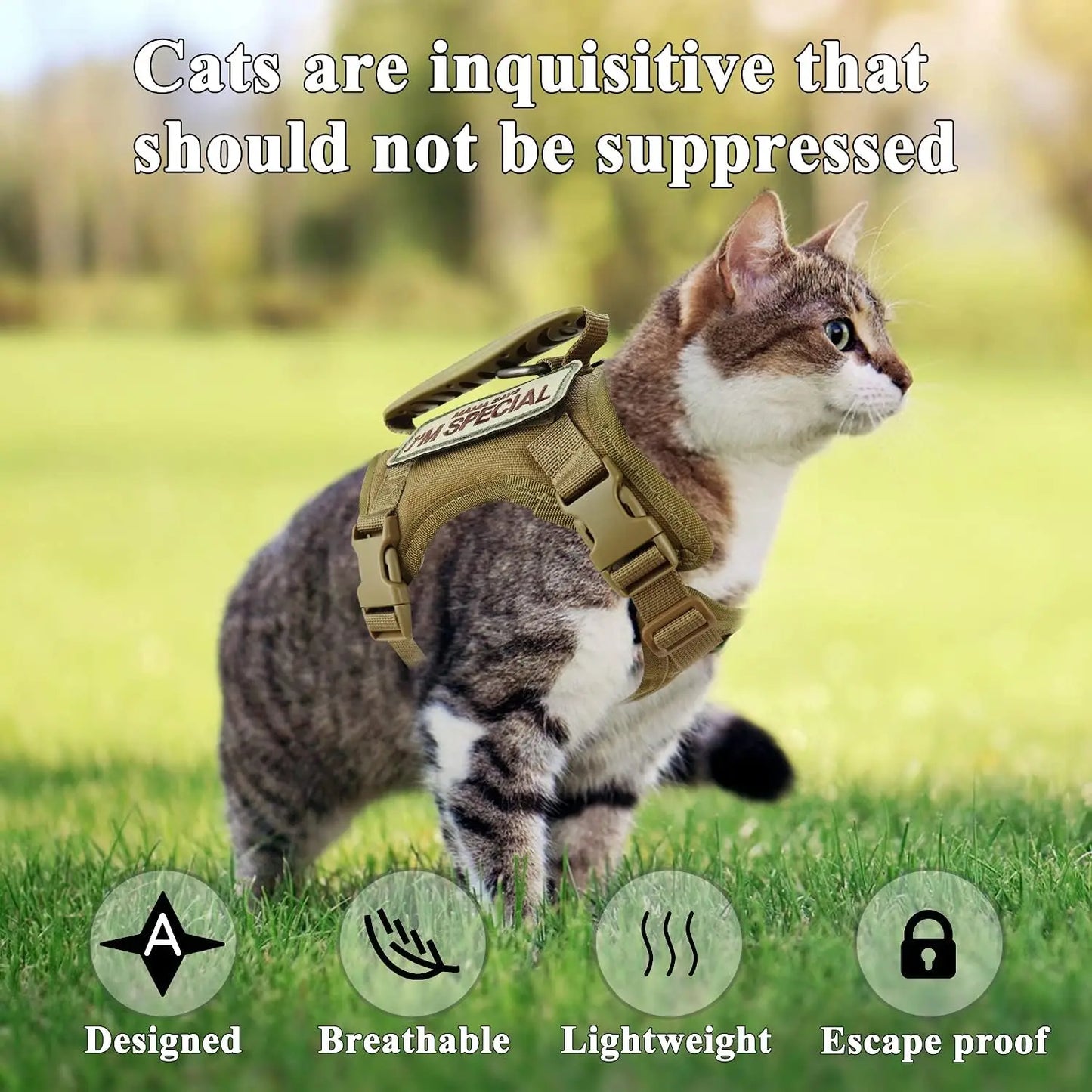 Tactical Small Dog Cat Harness Leash with Patches Working Training Puppy Straps with Handle Soft Mesh Adjustable Pet K9 Vest