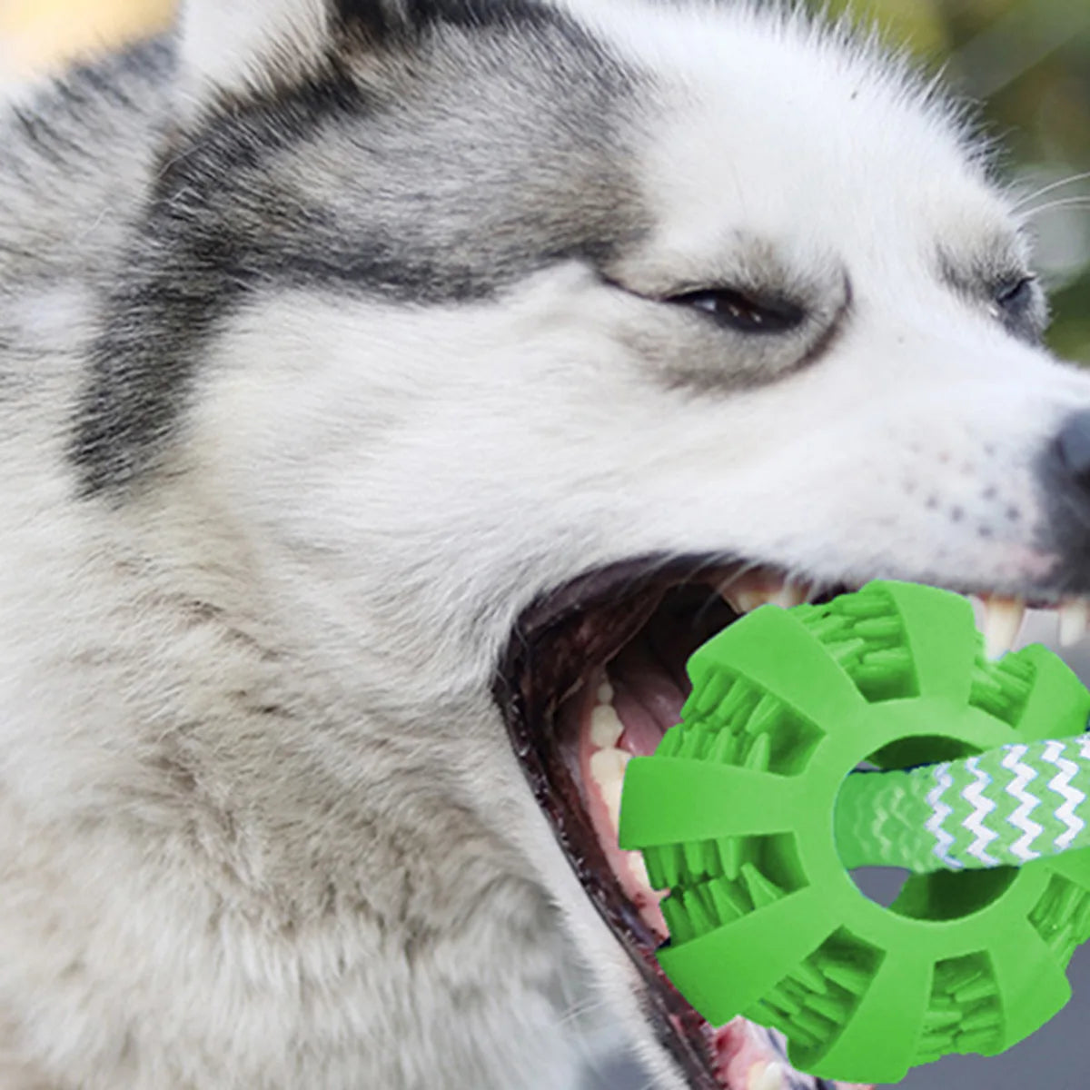 Durable Dog Rope Toys Ball on Rope, Tug of War Dog Toy Interactive Exercise Reward Toy for Medium Small Dogs,Rubber Dog Chew Toy