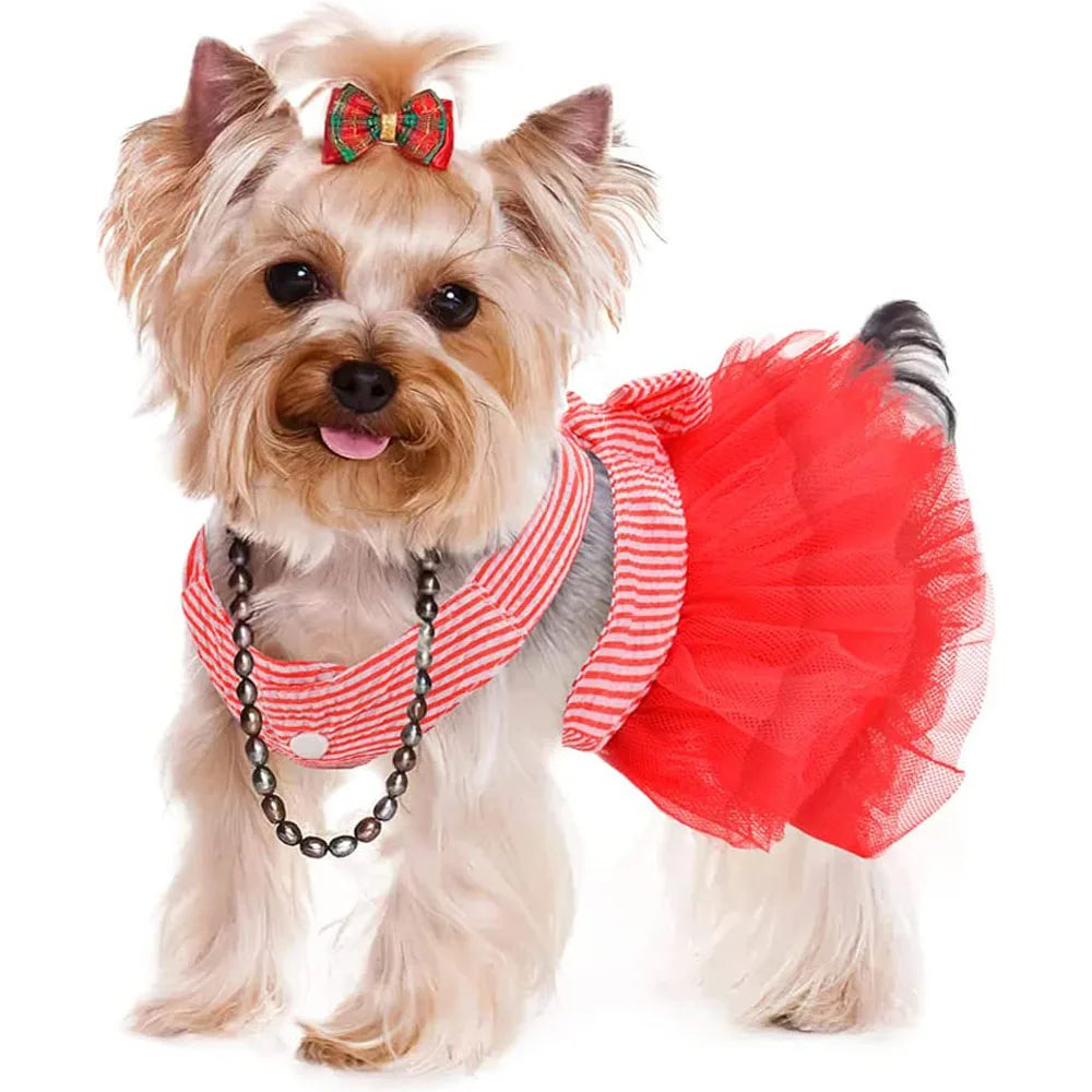 Princess Dog Dress for Small Dogs, Chihuahua Yorkie Layer Stripe Mesh Tutu Skirt Puppy Summer Clothes Pet Bowknot Dresses