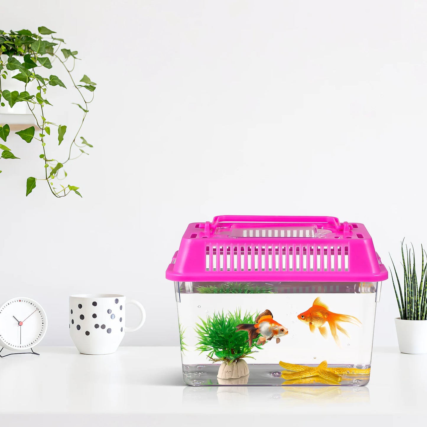 4Pcs small Portable Tourtise Aquariums Handheld Goldfish Aquarium reptile Tourtise Aquarium clear Turtle lizard Hamster Living