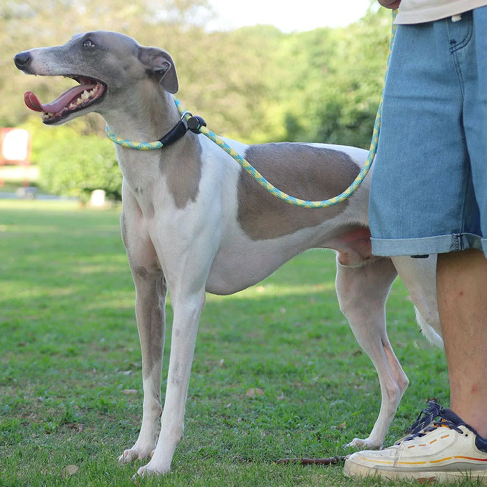 Dog Collar Dog Leash P Chain Slip Rope Leads Leash Pet Puppy Nylon Rope Adjustable Loop Collar Slip Lead for Training Large Dogs