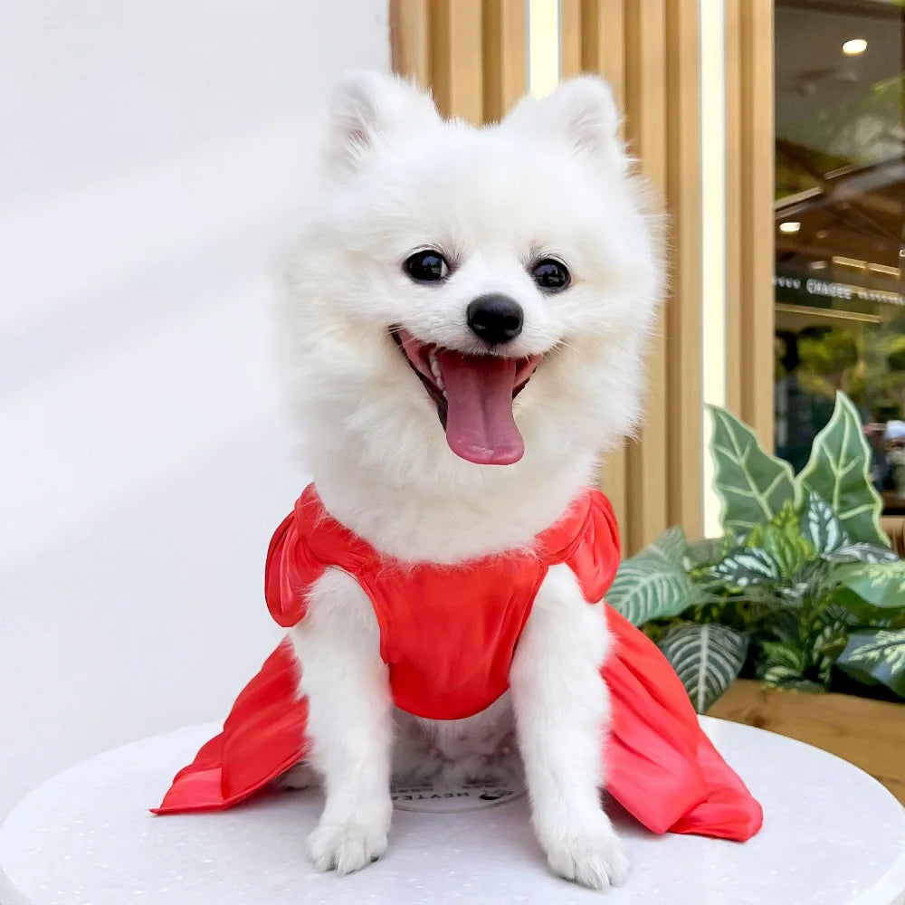 Summer Pet Dog Skirt Puppy Striped Butterfly Skirt Princess Baby Dog Wedding Midi Dress Cat Skirt Shih Tzu Dog Clothes for Party