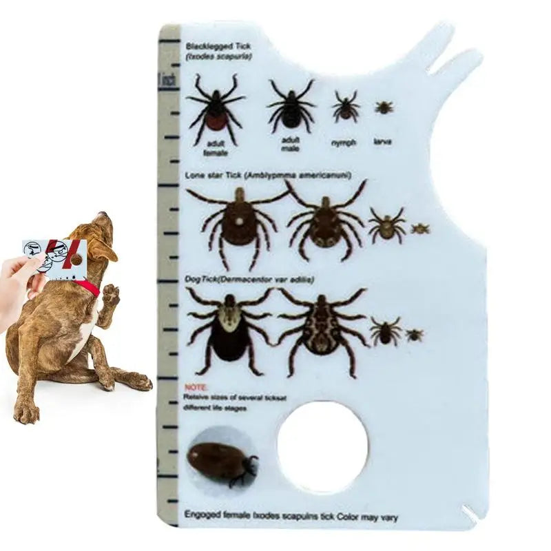 Tick Card with Magnifying Glass Tick Remover for Dogs Quickly Gentle Remove Ticks from Pet Dogs Cats or People