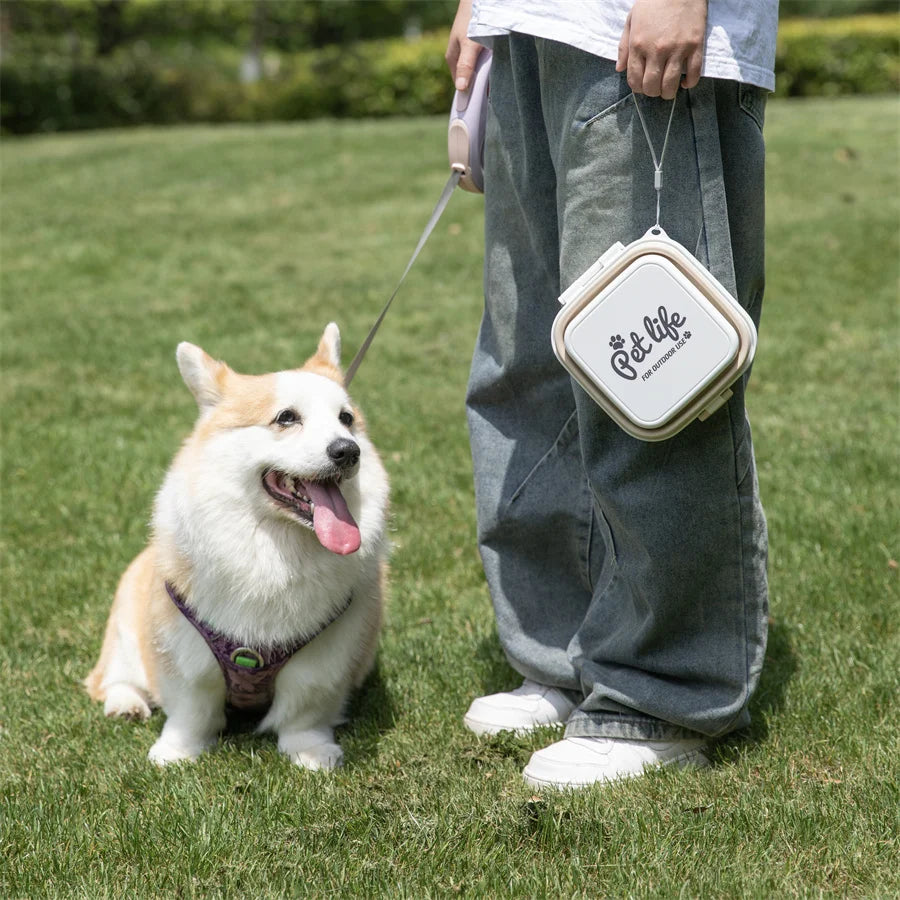 Thickened Folding Pet Bowls Outdoor Pet Double Bowls Tableware Travel Dog Feeder Bowls Pet Supplies Portable Dog Bowls