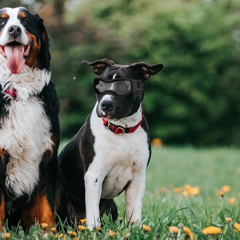 Small Dog Goggles Dog Sunglasses Anti-Fog Goggles PC Lenses Dog Eye Wear Protection Tool For Parties Everyday Activities Travel