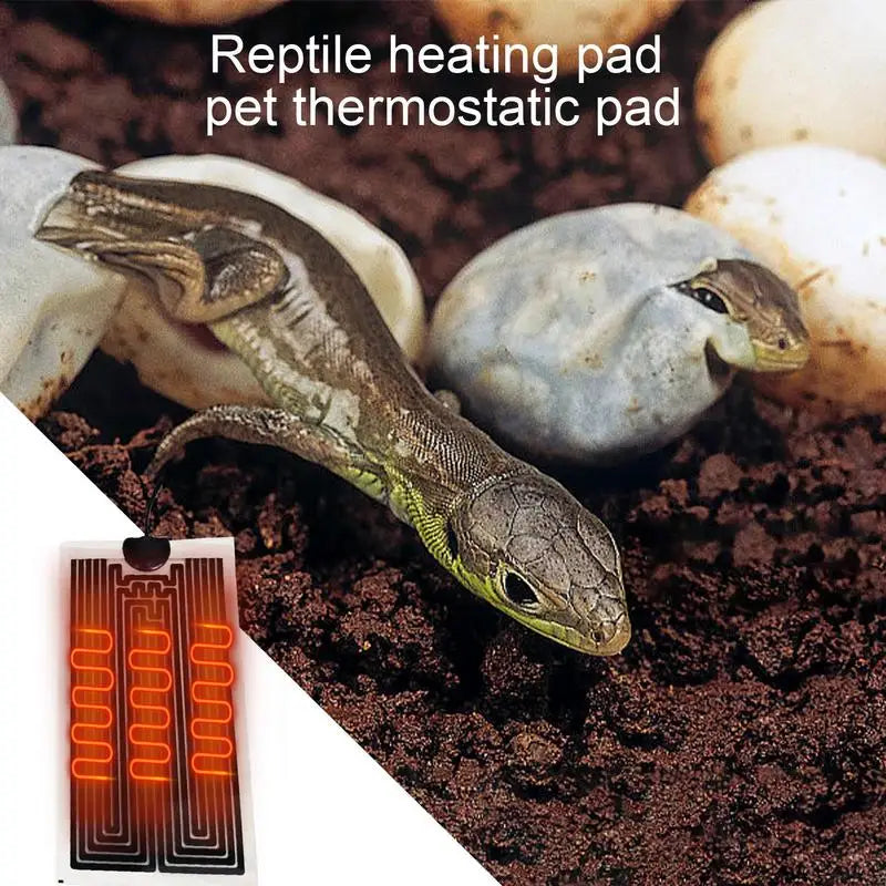 Terrarium Heating Mat Temperature Adjustable Snake Heating Pad Reptile Heating Pad Snake Heating Pad Reptile Heat Mat Under Tank
