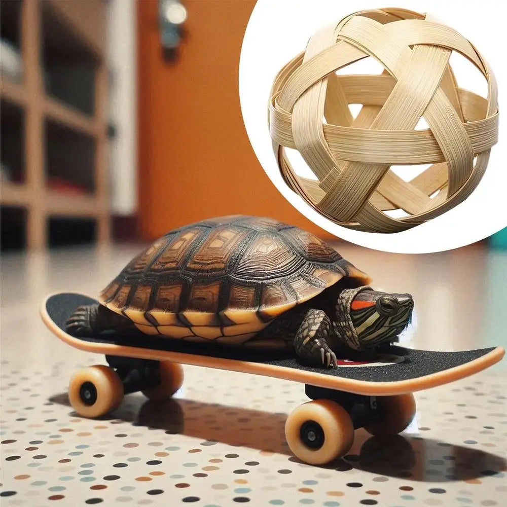 Turtle Feeding Ball Fruit Vegetable Holder with Training Skateboard 2 Treat Balls Turtle Enrichment Toys for Tortoise Turtle