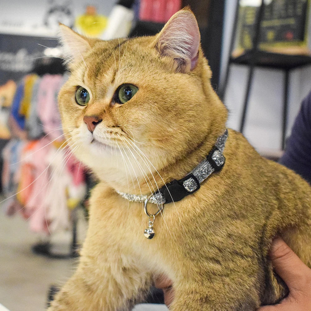 Celebrating Christmas, suitable for cats with bells, cat face safety buckle, nylon collar, pet cat collar, one piece