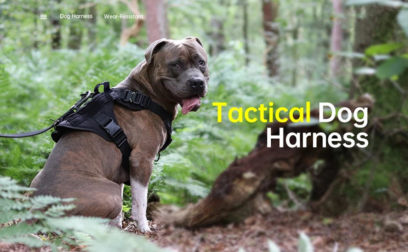 K9 Tactical Military Vest Pet German Shepherd Golden Retriever Tactical Training Dog Harness and Leash Set For All Breeds Dogs