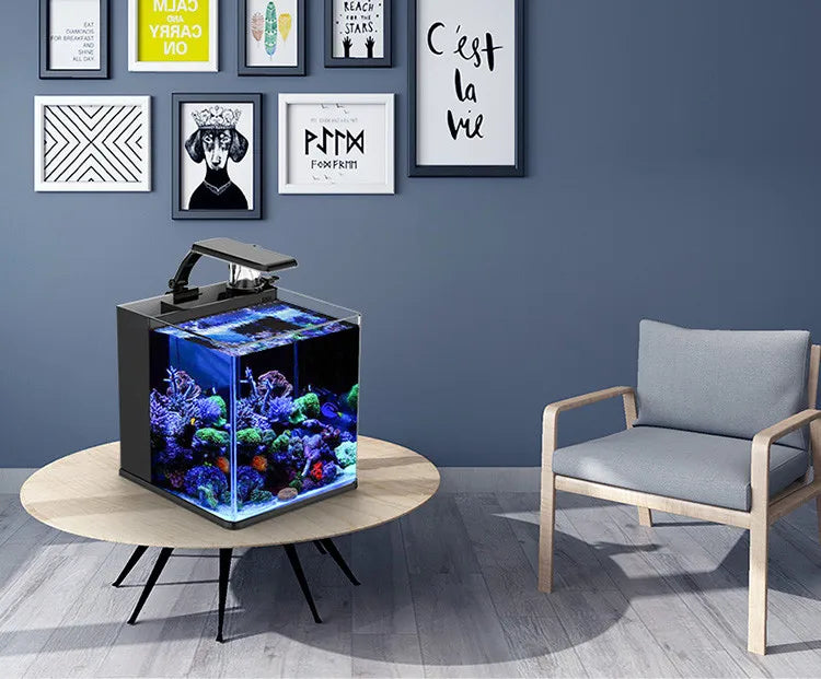 Table Curvedcurved Saltwater Marine Fish Tank Aquarium